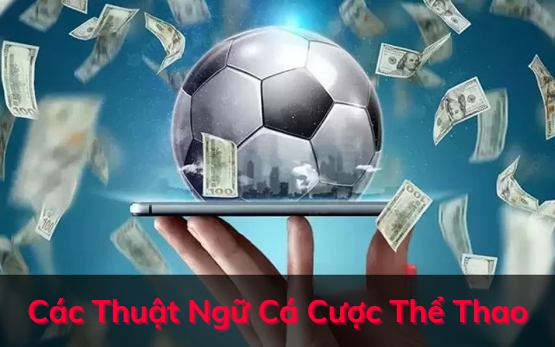 Các Thuật Ngữ Cá Cược Thể Thao Bạn Nên Biết Khi Chơi Tại KUBET