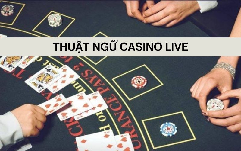 Thuật Ngữ Casino Live - Cùng KUBET Giải Mã Chi Tiết