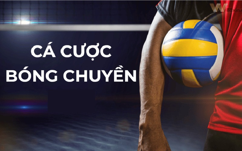 Hướng Dẫn Cá Cược Bóng Chuyền Trên KUBET: Quy Tắc Và Mẹo Hay