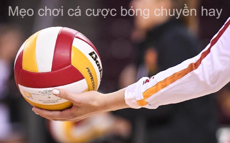 Hướng Dẫn Cá Cược Bóng Chuyền Trên KUBET: Quy Tắc Và Mẹo Hay